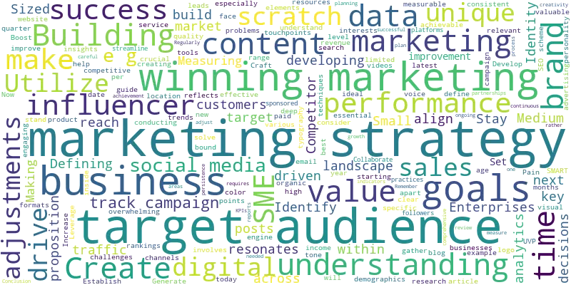 Building a Winning Marketing Strategy from Scratch for Small and Medium-Sized Enterprises (SMEs)